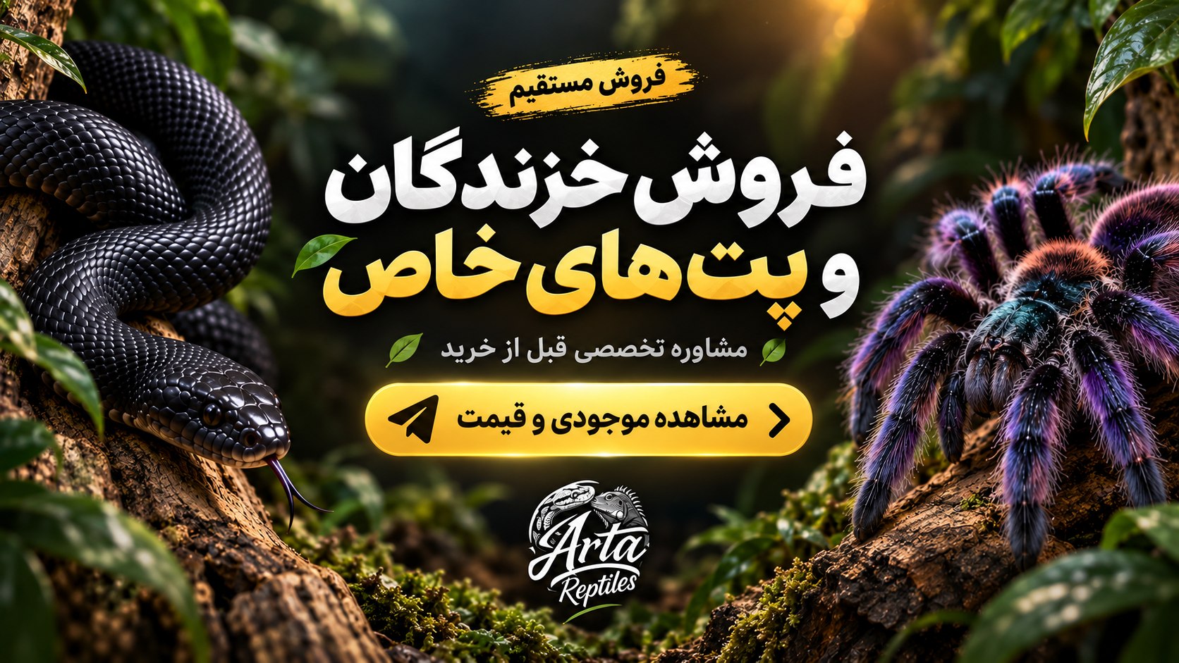Arta reptiles 🐍
