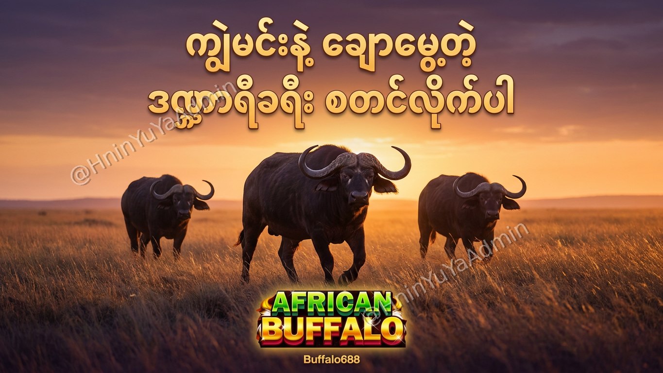 ကျွဲဂိမ်းအစစ် Buffalo688 ၊ကျွဲဘုရင် ၊ရှမ်းကိုးမီး၊ဘူကြီး