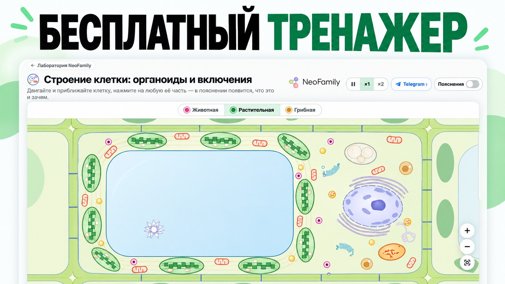 NeoFamily | Биология ЕГЭ-2027 | Андрей и Нурлан