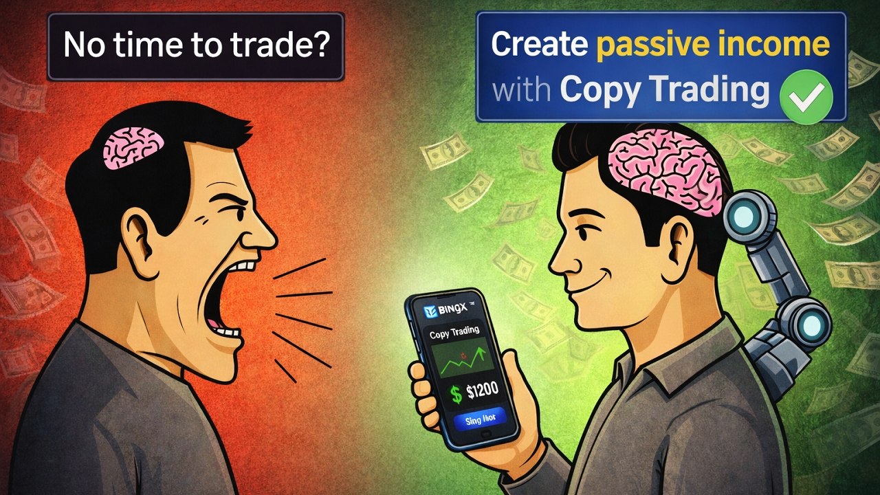 Alpha Zone | Copy Trading