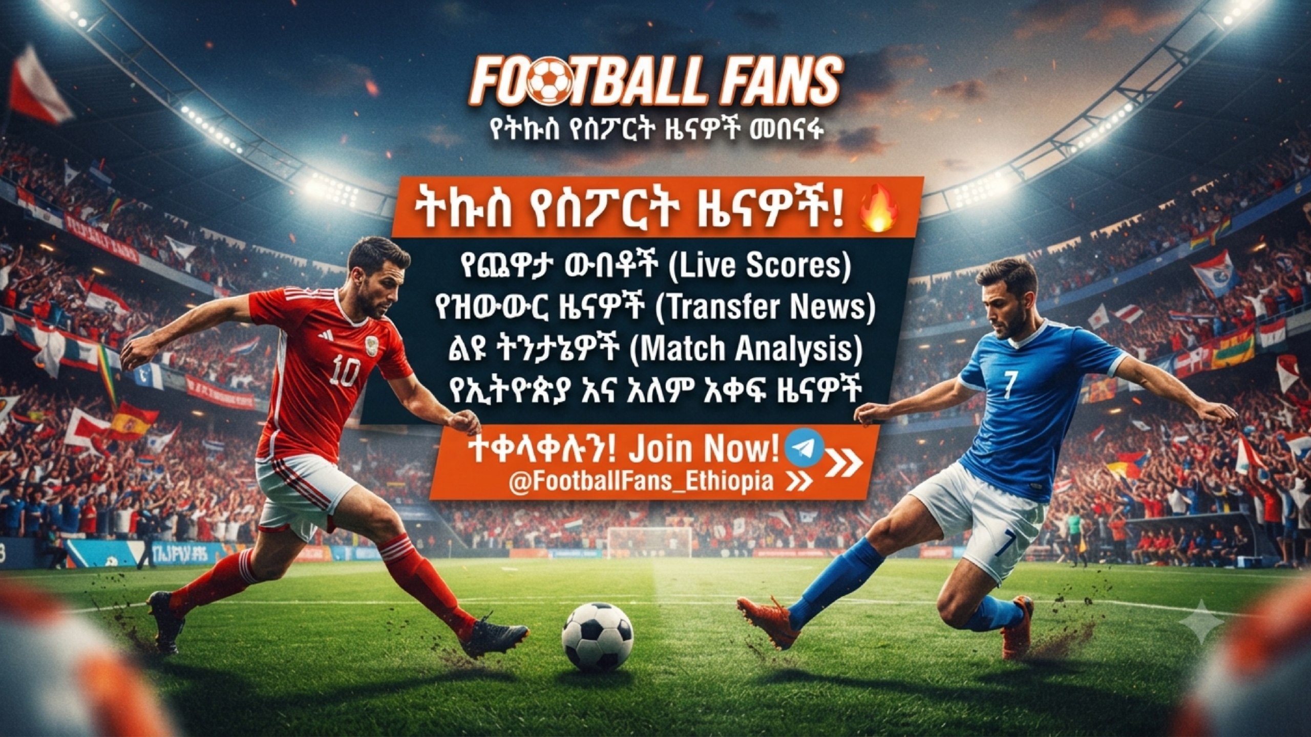 football fans