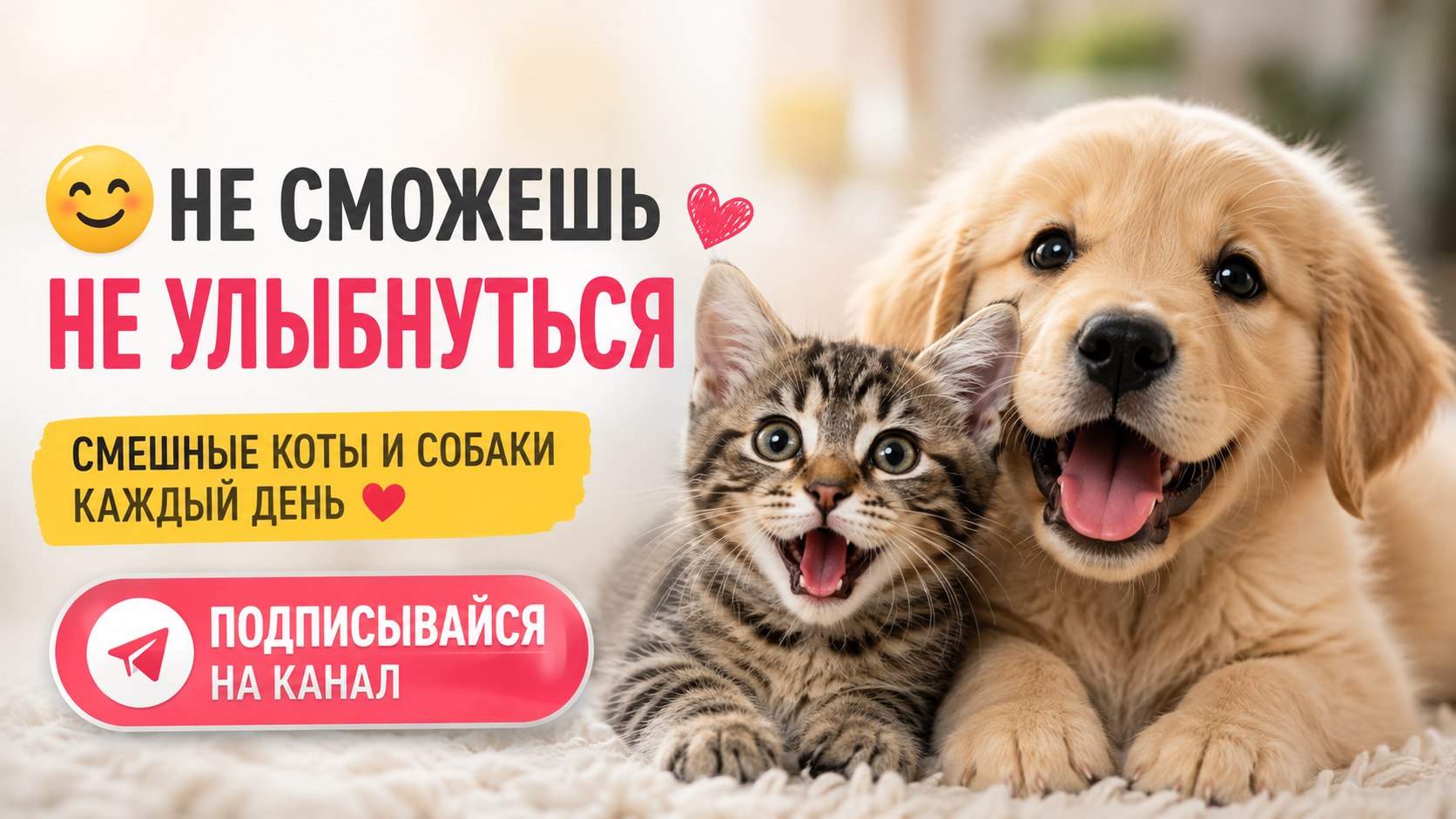 Милые Лапки