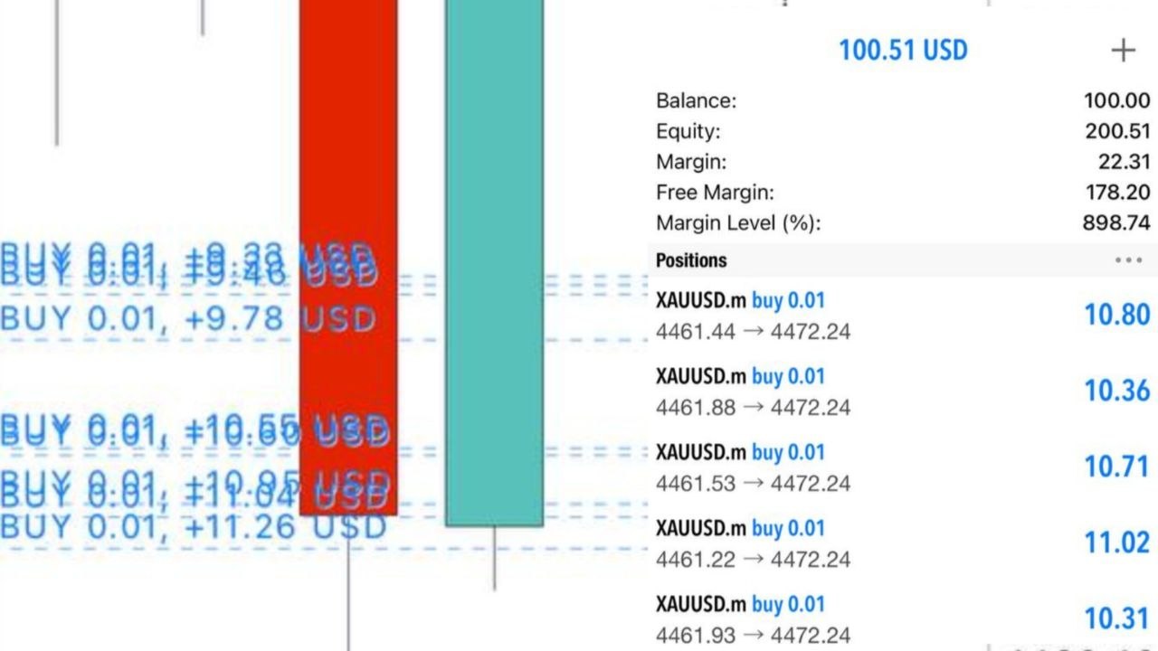 EnoPropz Scalping