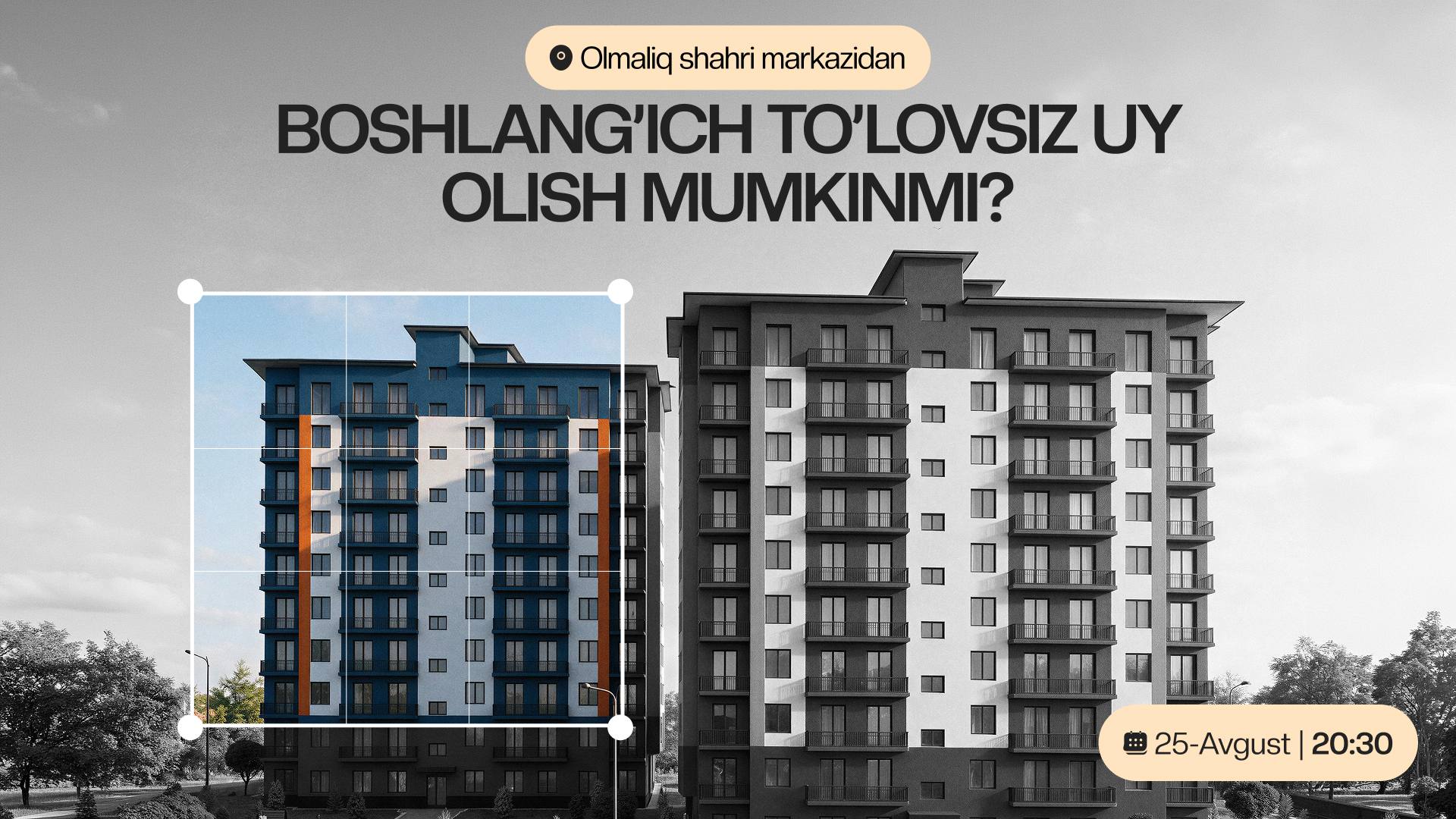 NEO GARDEN | 25-Avgust Onlayn taqdimot