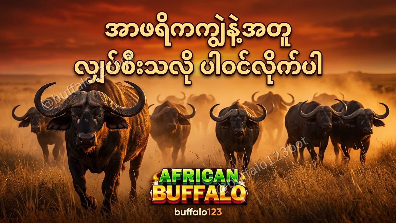 ကျွဲဂိမ်း Buffalo123 Official