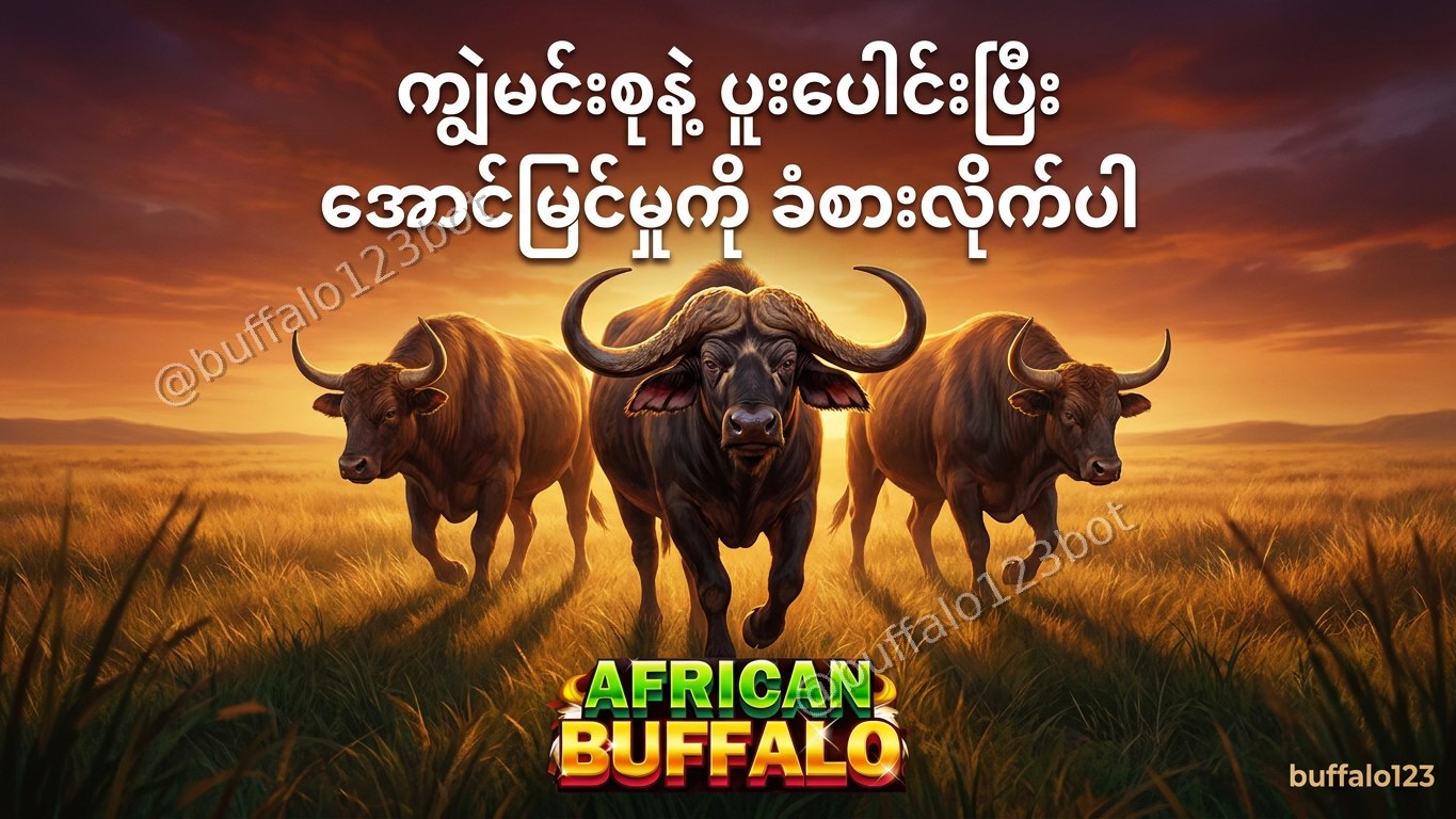 ကျွဲဂိမ်း Buffalo123 Official