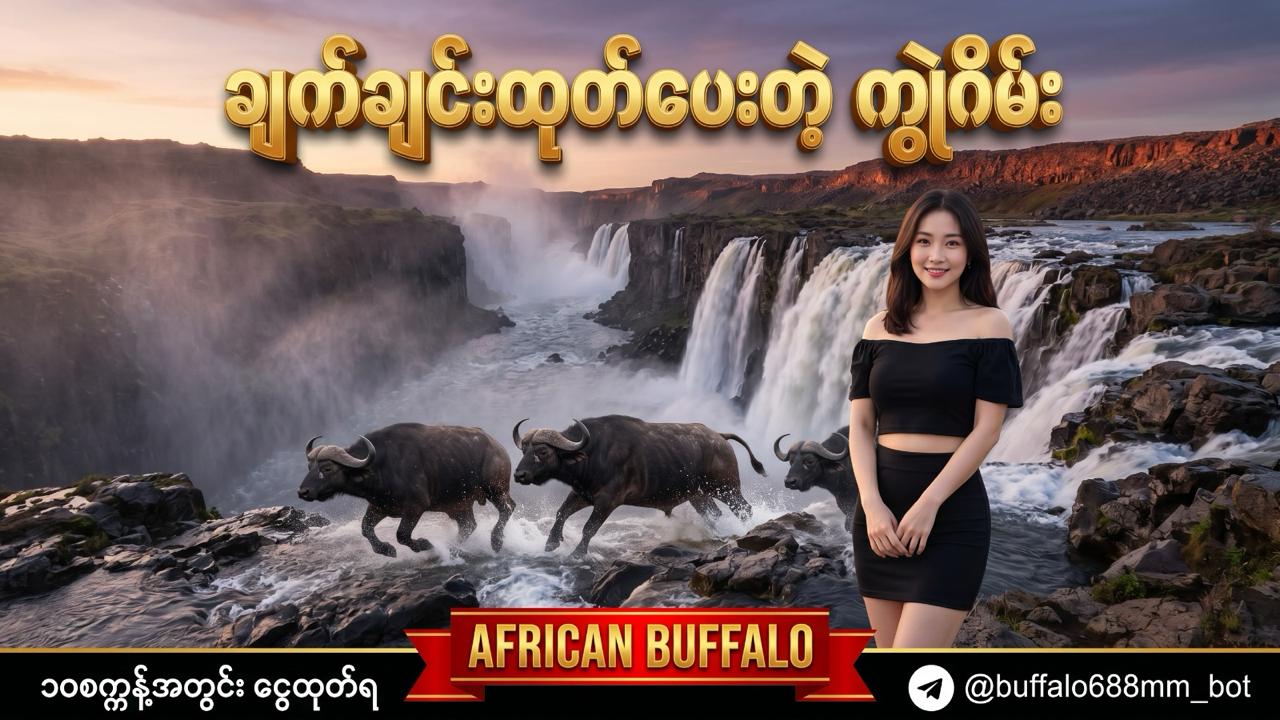 Buffalo688 Myanmar Official
