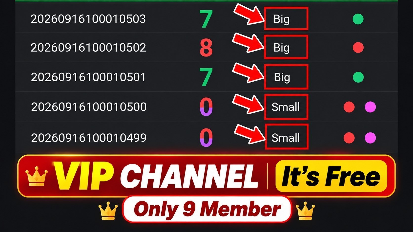 VIKKU VIP WORLD