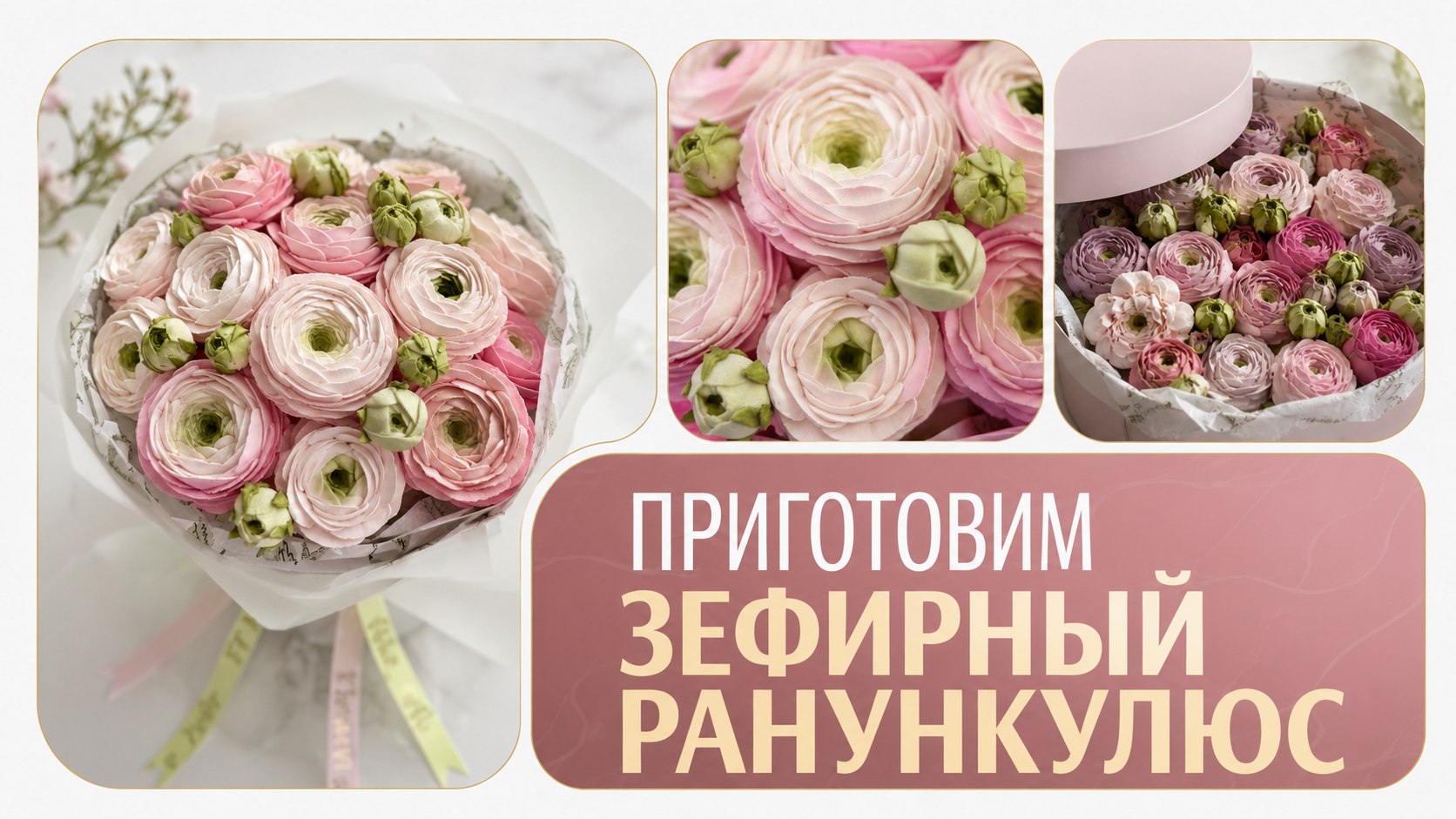 Идеальный зефирный ранункулюс