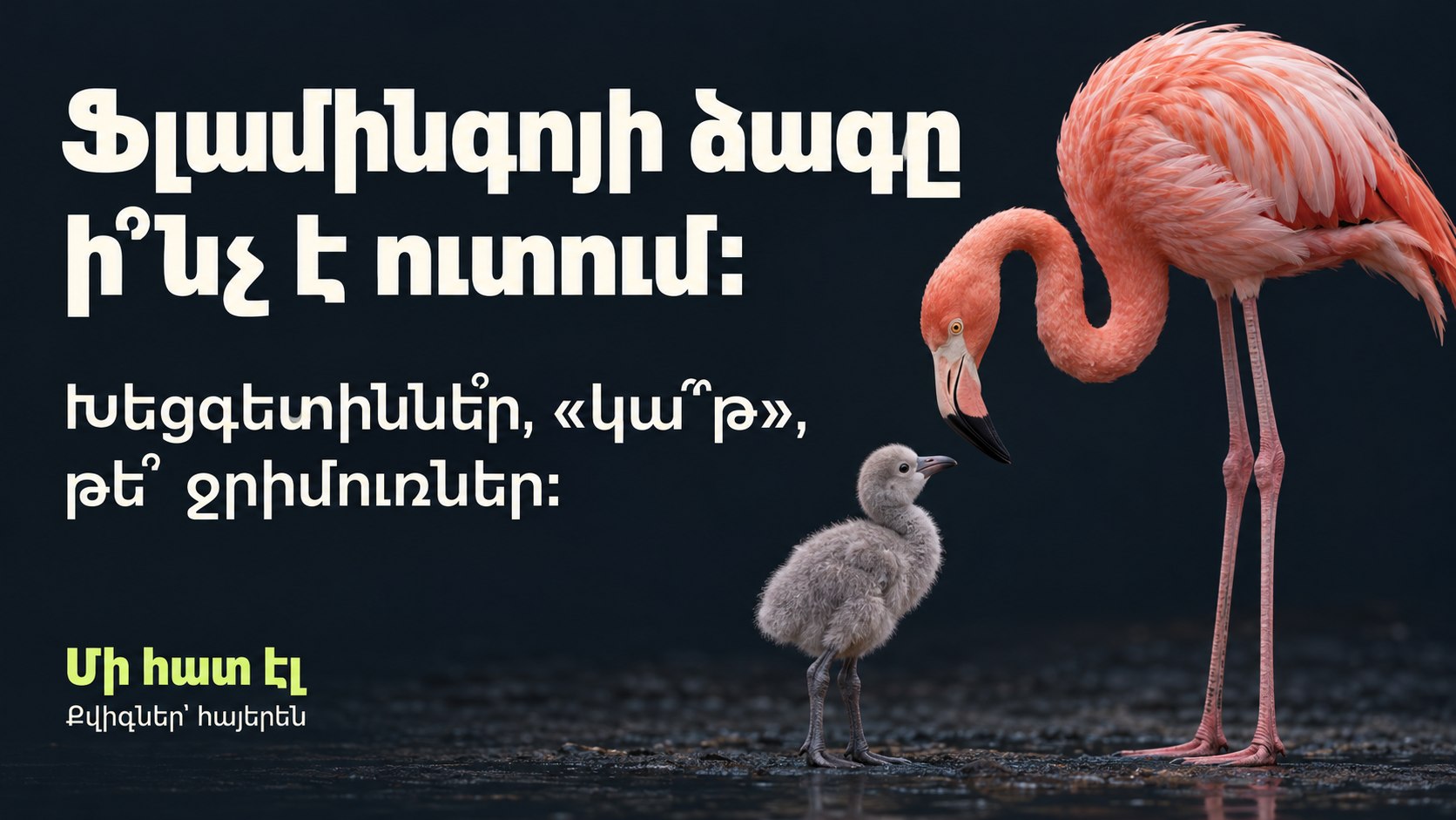 Մի հատ էլ