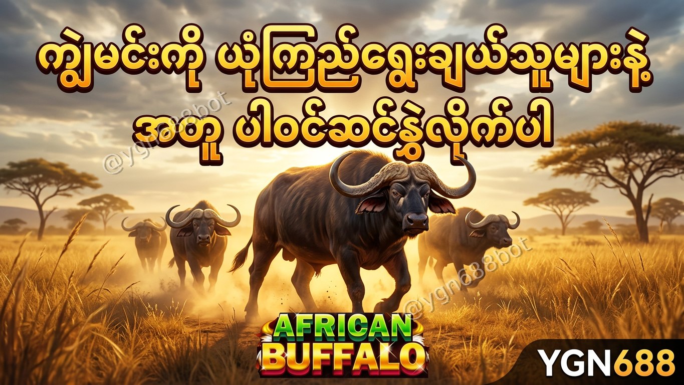 YGN688 - အော်တိုတိုက်ရိုက်ဂိမ်းဆိုက်