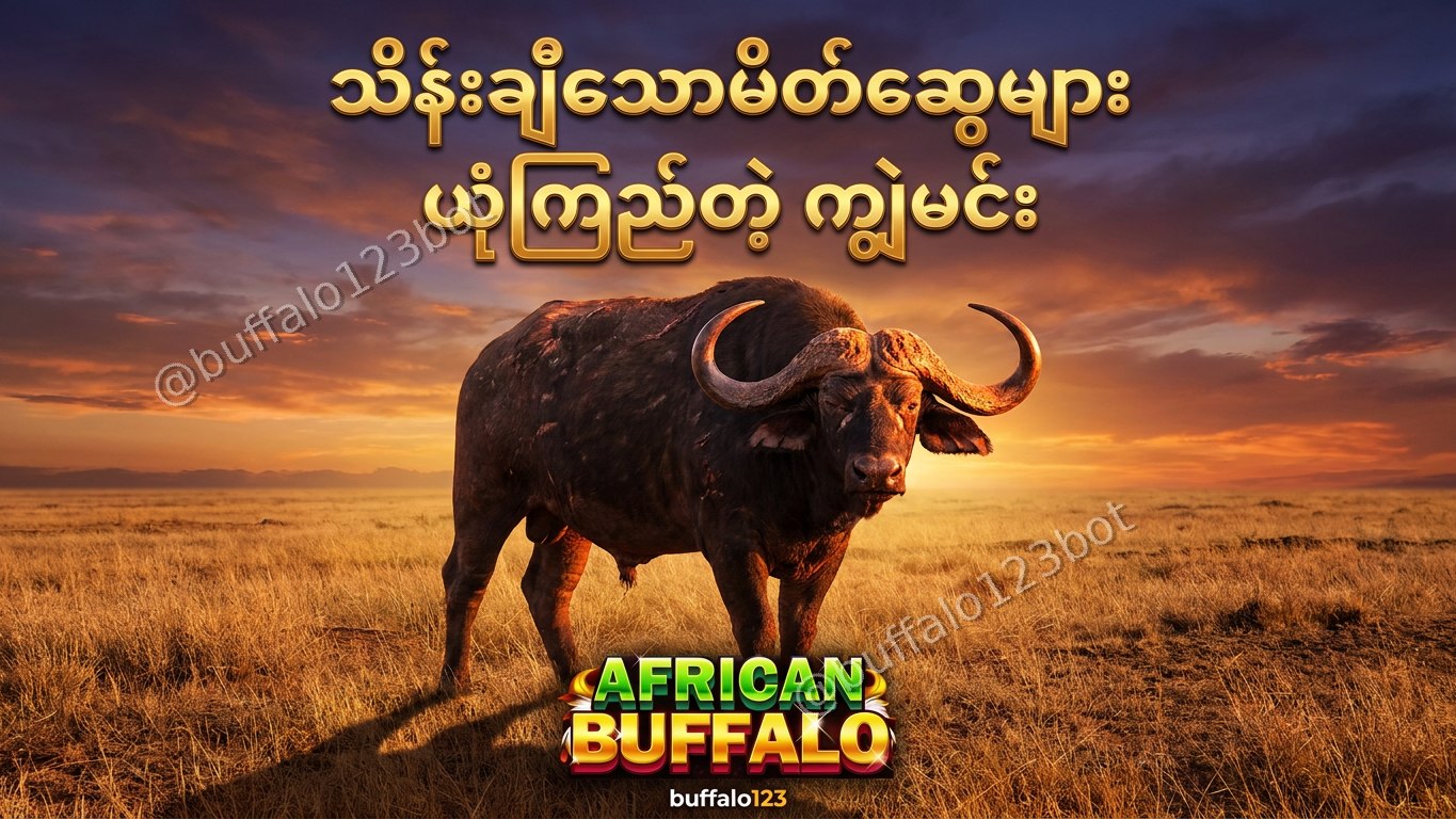 ကျွဲဂိမ်း Buffalo123 Official