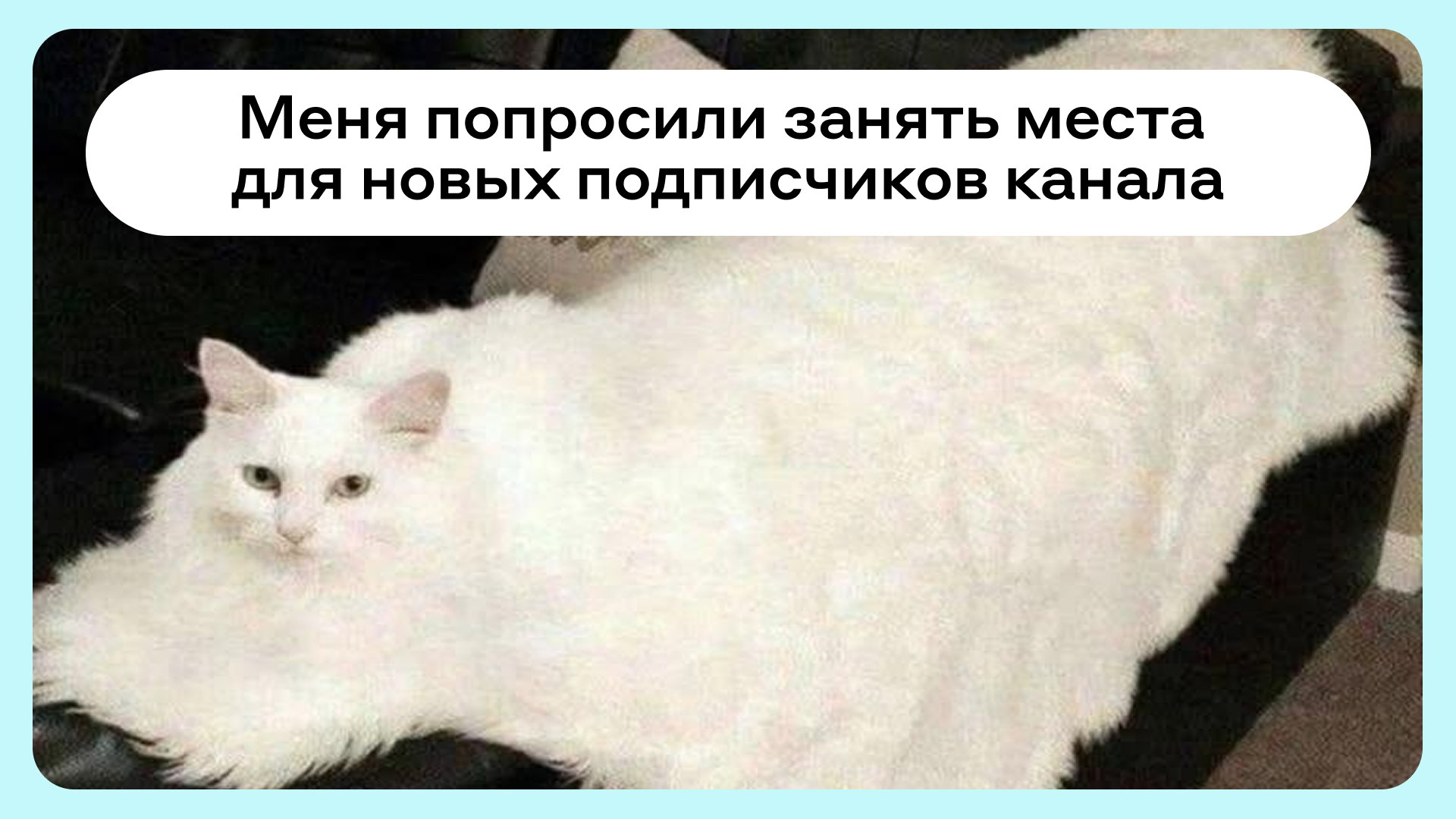 Карьера в Альфа-Банке