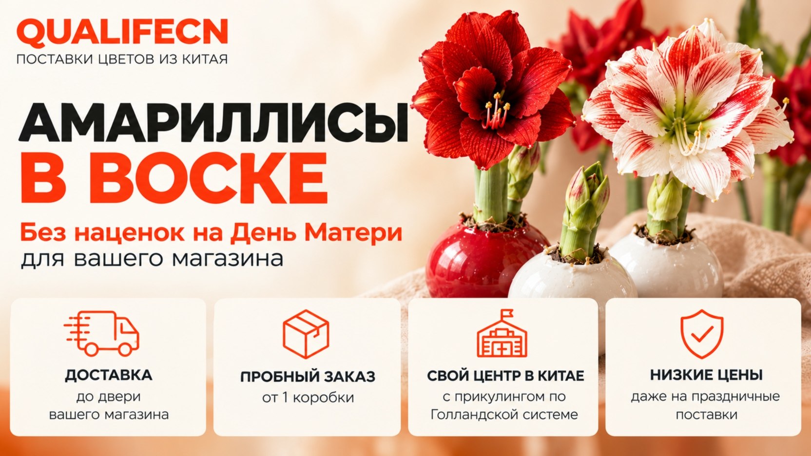 QUALIFECN | Цветок из Китая | Прямые поставки для цветочного магазина из Китая | Цветы Китай
