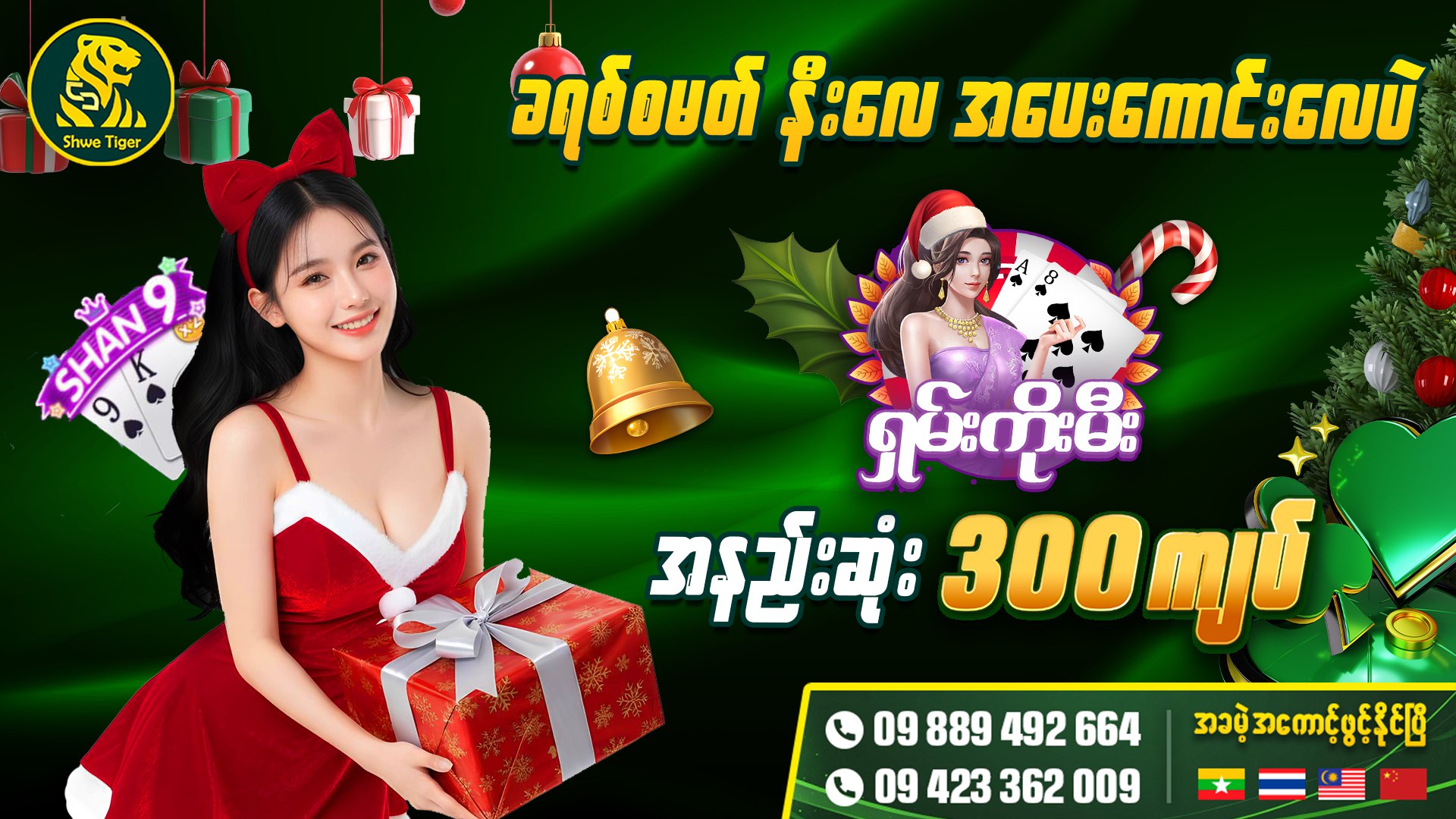 Shwe Tiger(ZLS003)