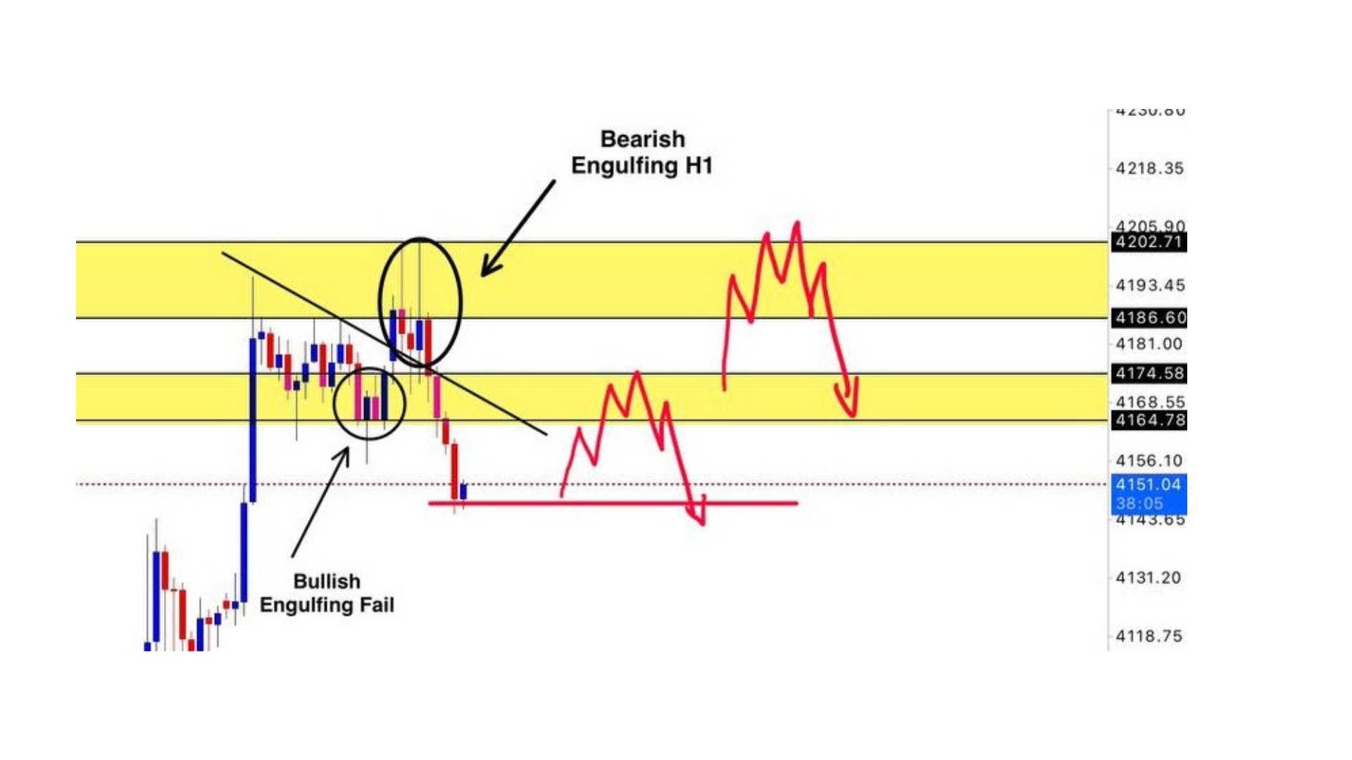 Along Gold Scalper