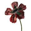 🥀