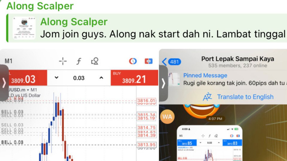 Along Gold Scalper