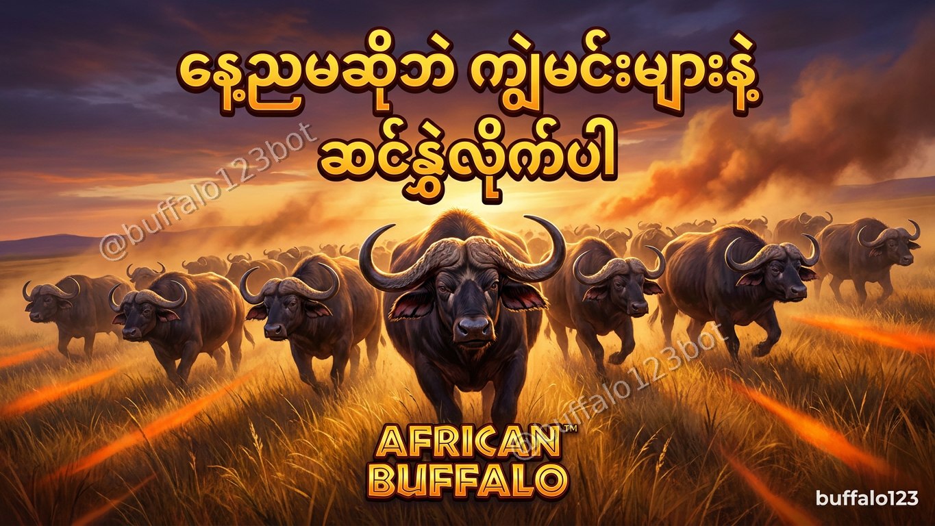 ကျွဲဂိမ်း Buffalo123 Official