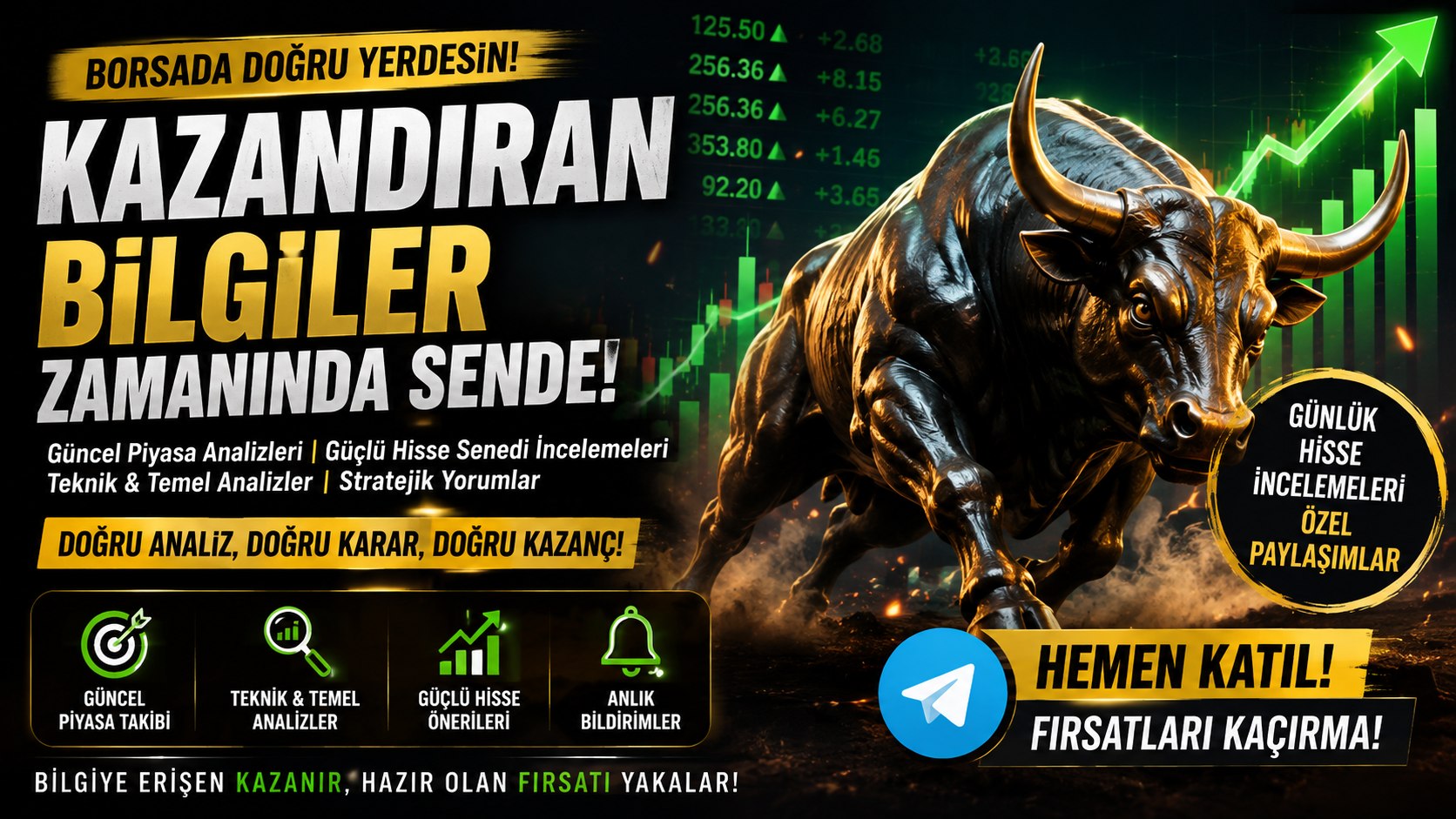 BALİNA TAKİP