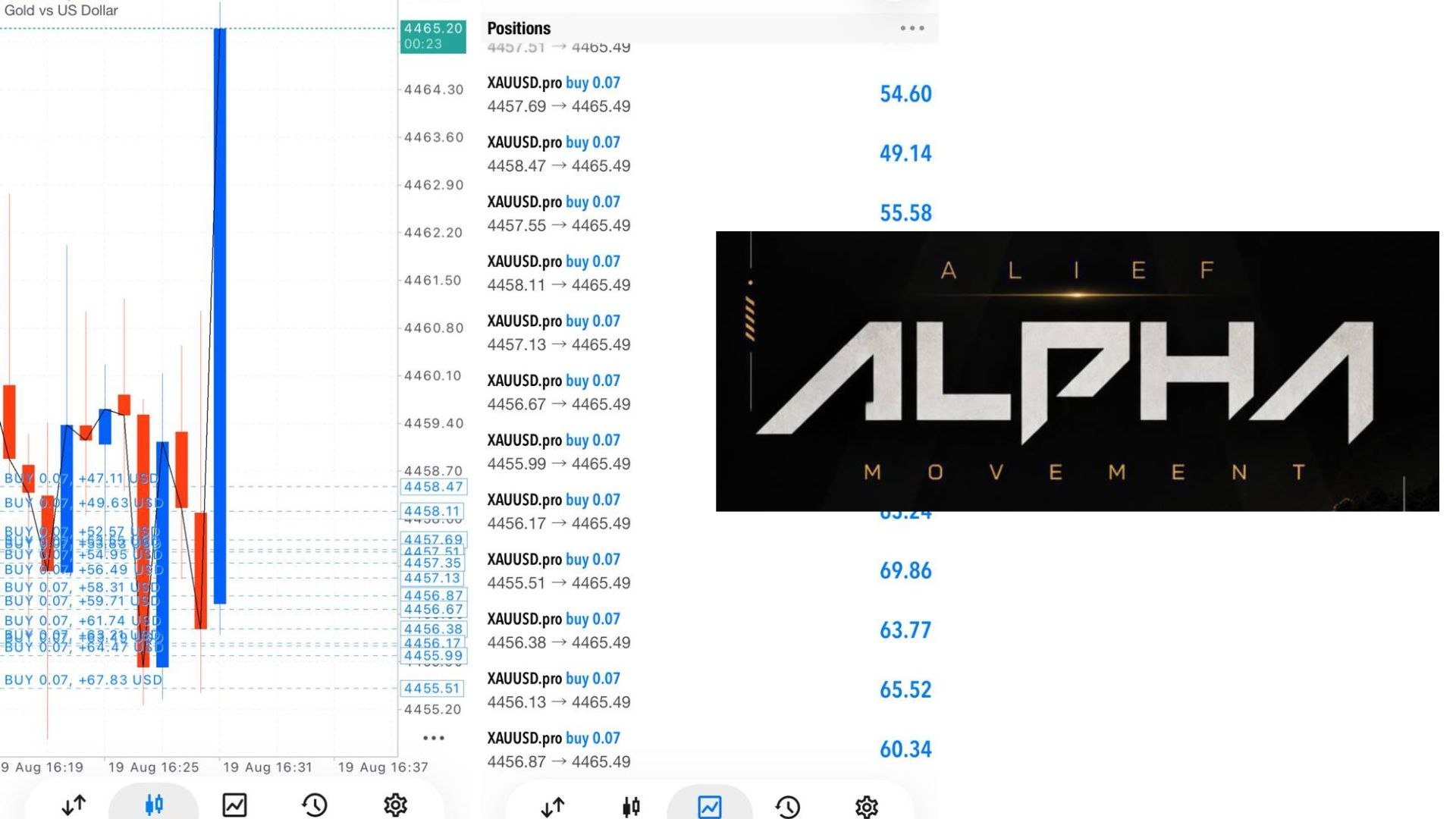 Alief AlphaMovement ๐ต๐ธ