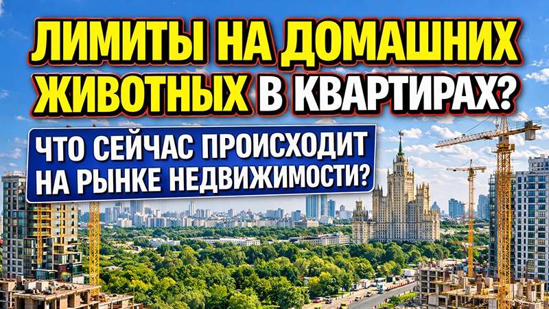 Дом в Квадрате | Недвижимость