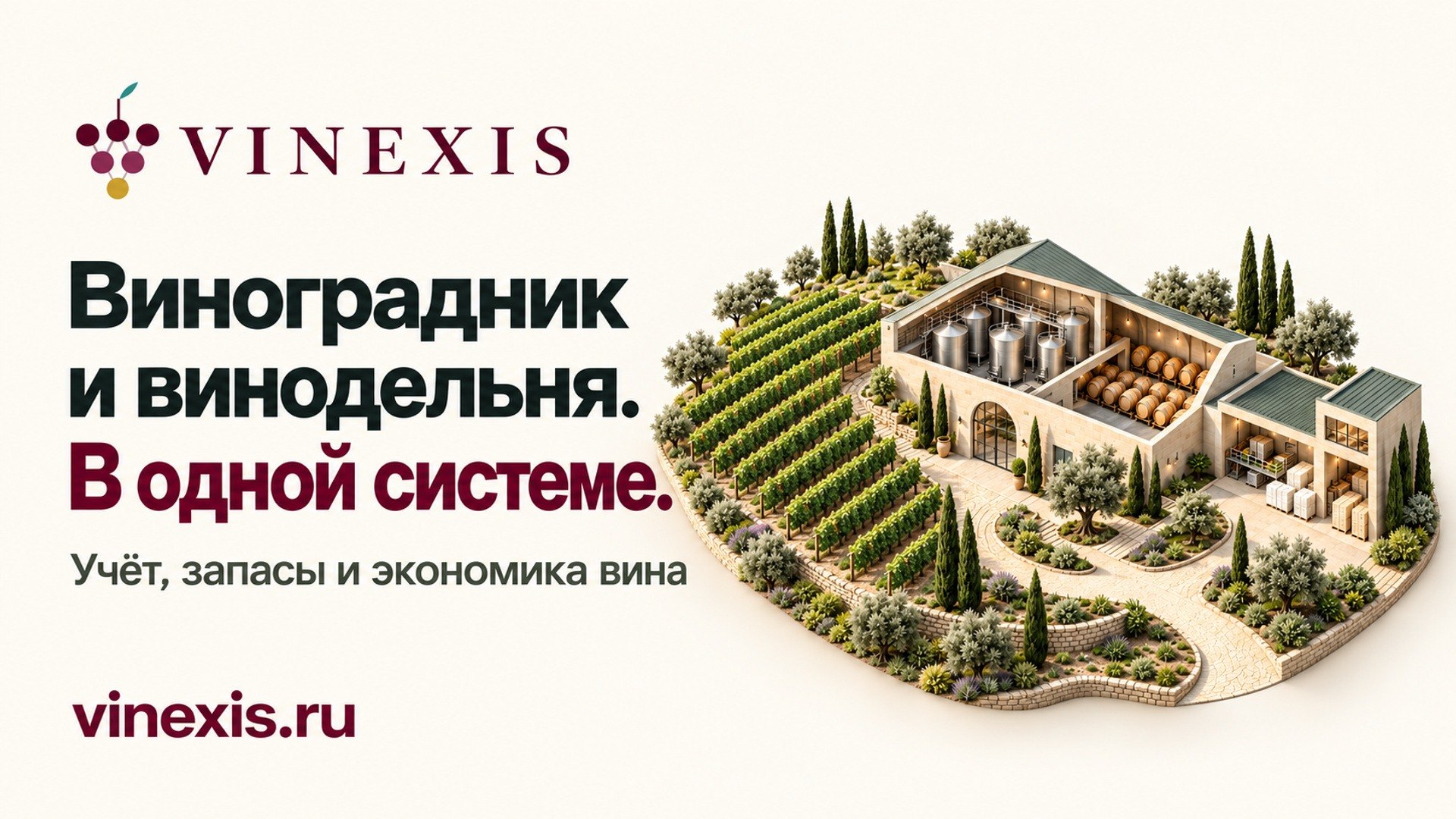 Vinexis — учёт для виноделен