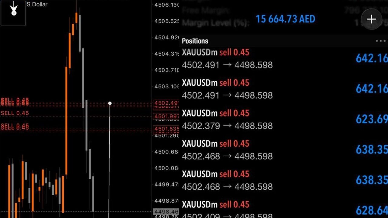 168FX DUBAI SIGNAL ๐ฆ๐ช