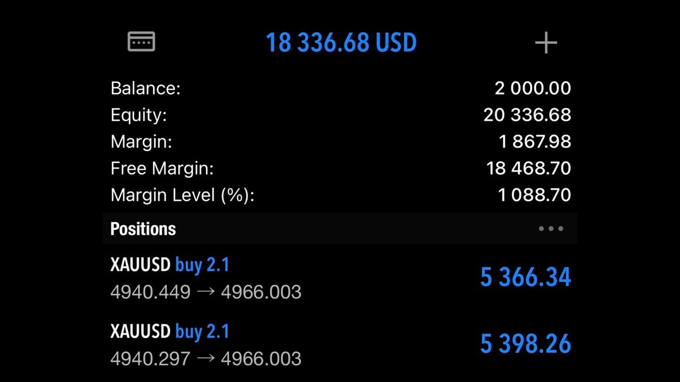 WIRE FOREX 📊
