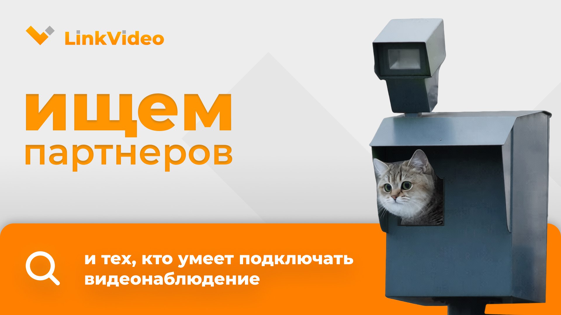 Партнерская программа LinkVideo