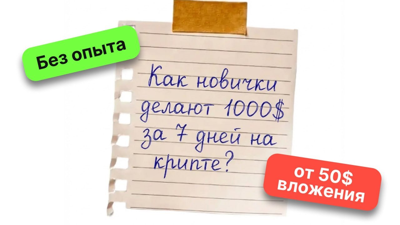 Точка Входа | ALEX