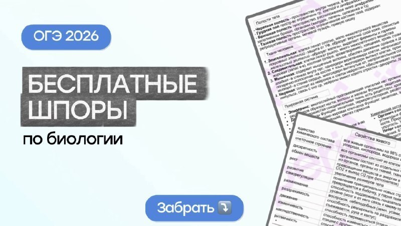 insperia | Школа победителей