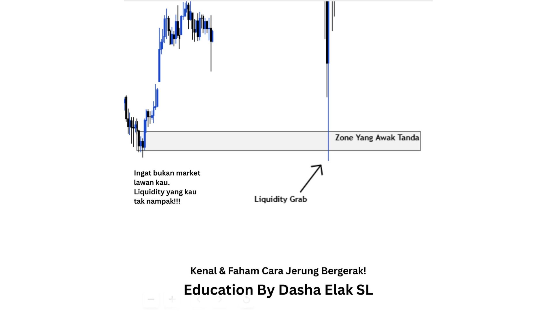 DASHA TRADING CLUB