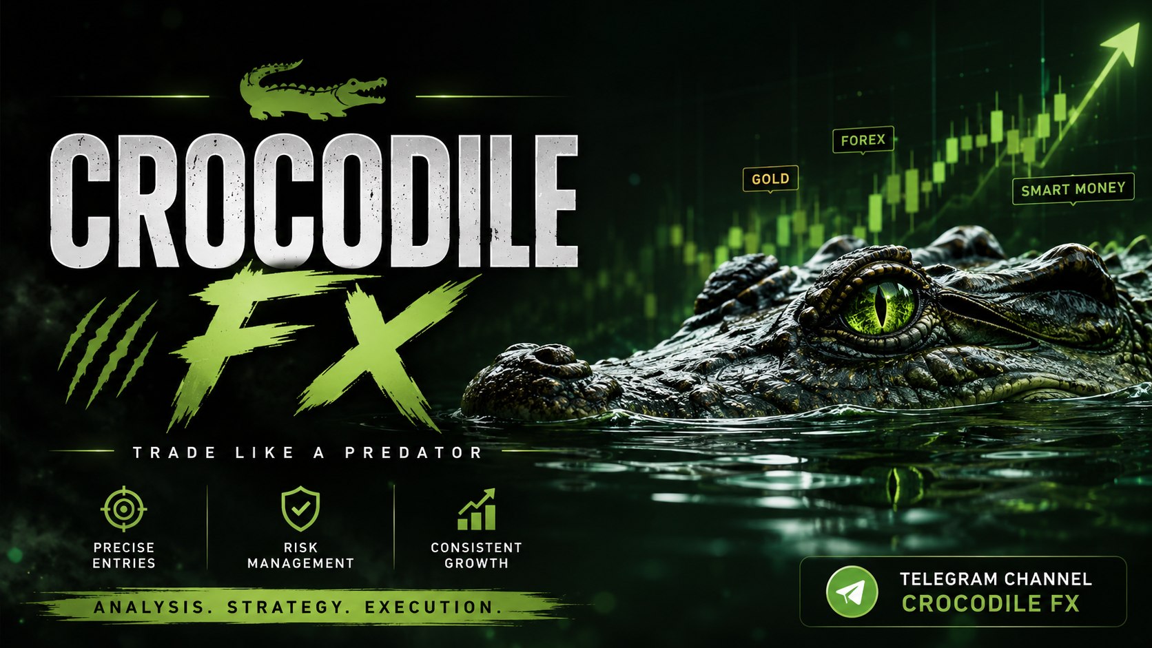 Crocodile 🐊