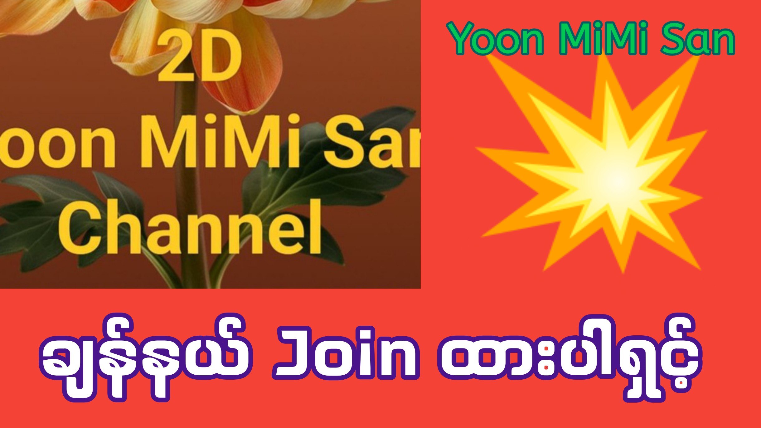 Yoon Mi Mi San Official
