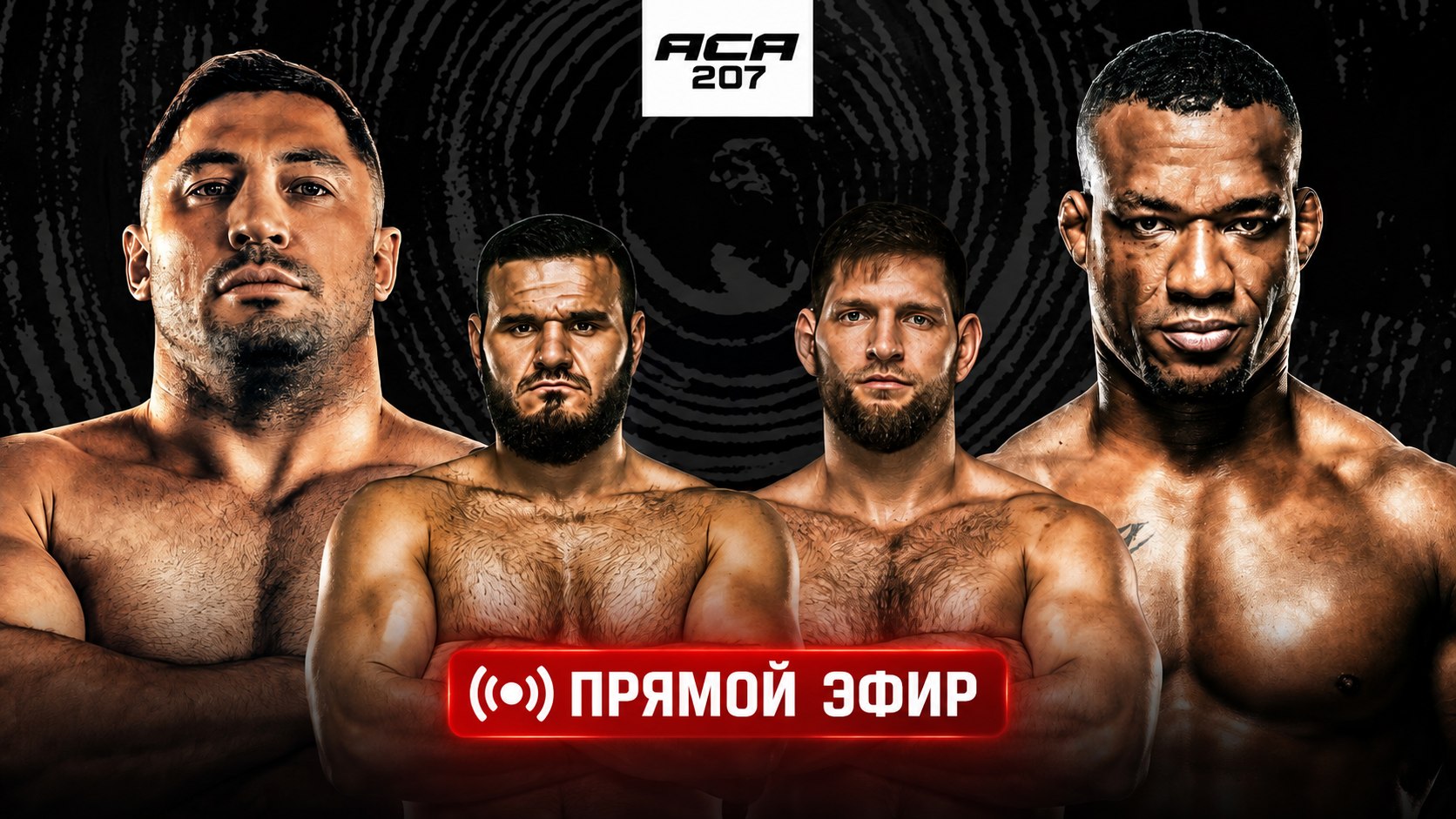 UFC LIVE 296