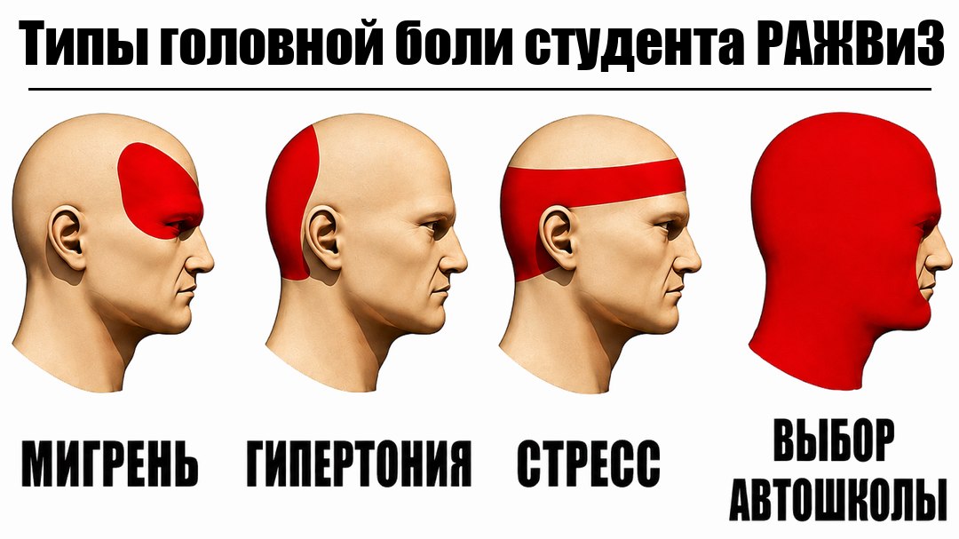 Автошкола для студентов РАЖВиЗ