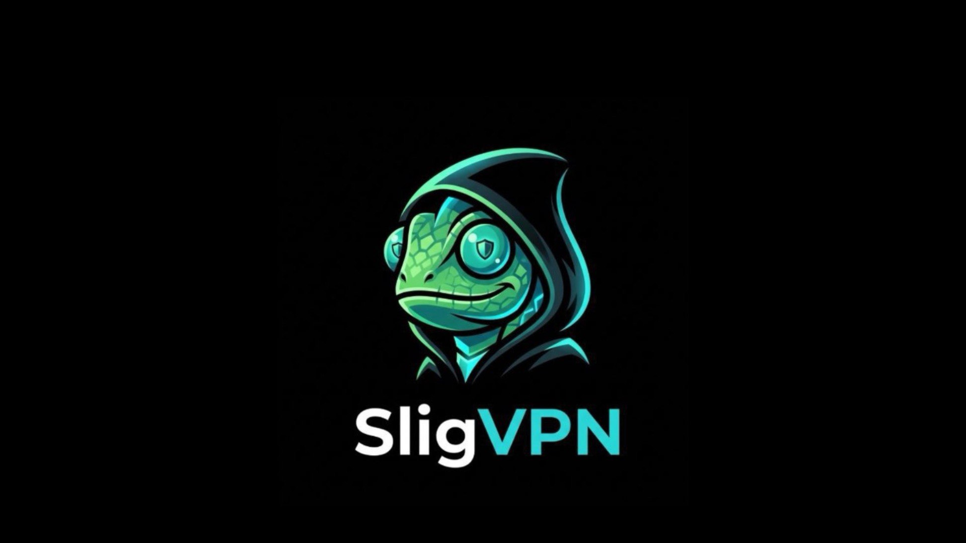 Slig VPN