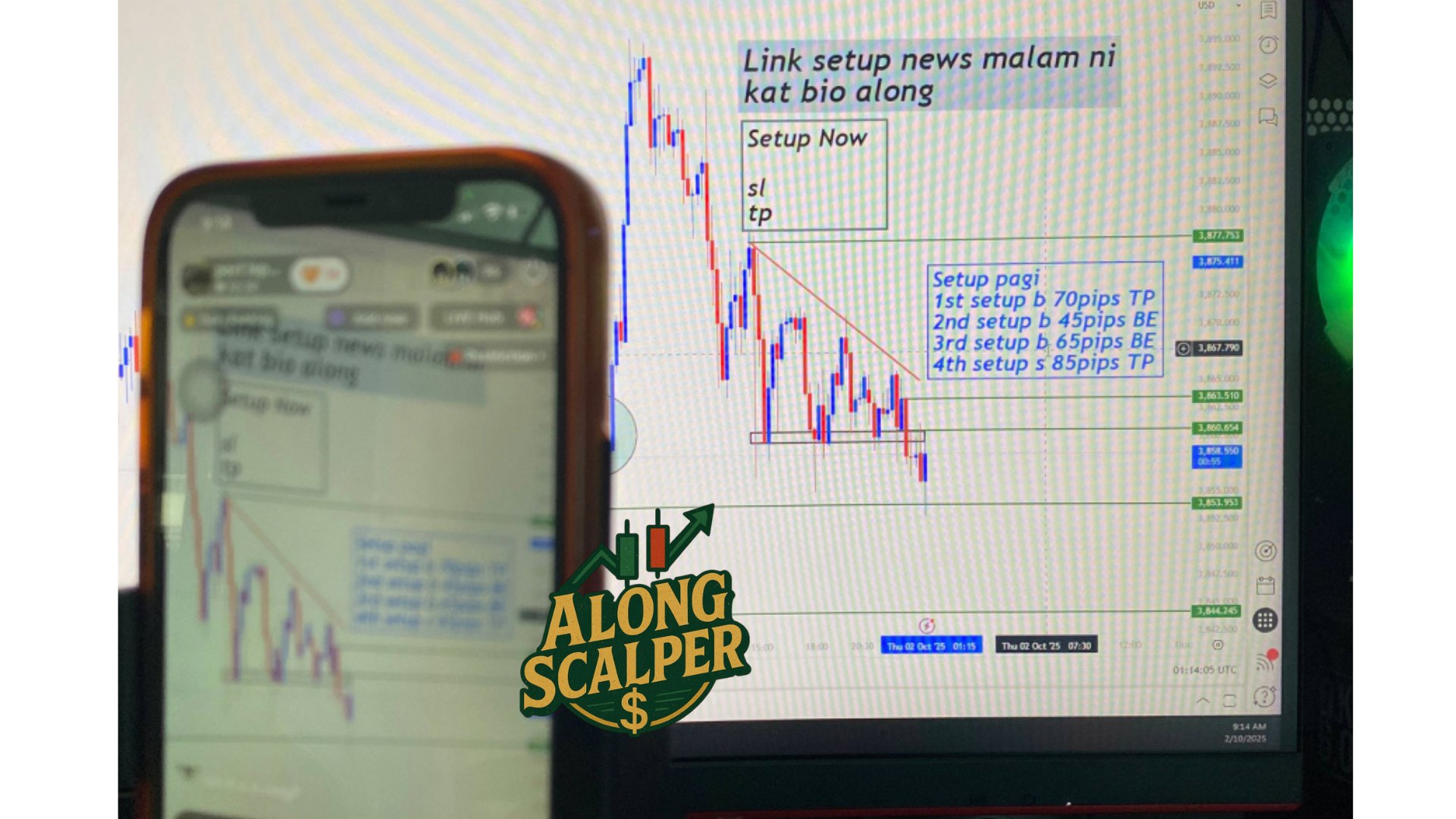 Along Gold Scalper