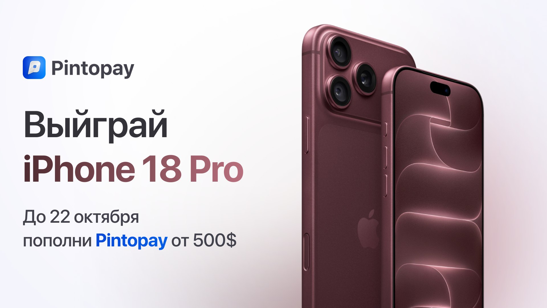 My Pintopay