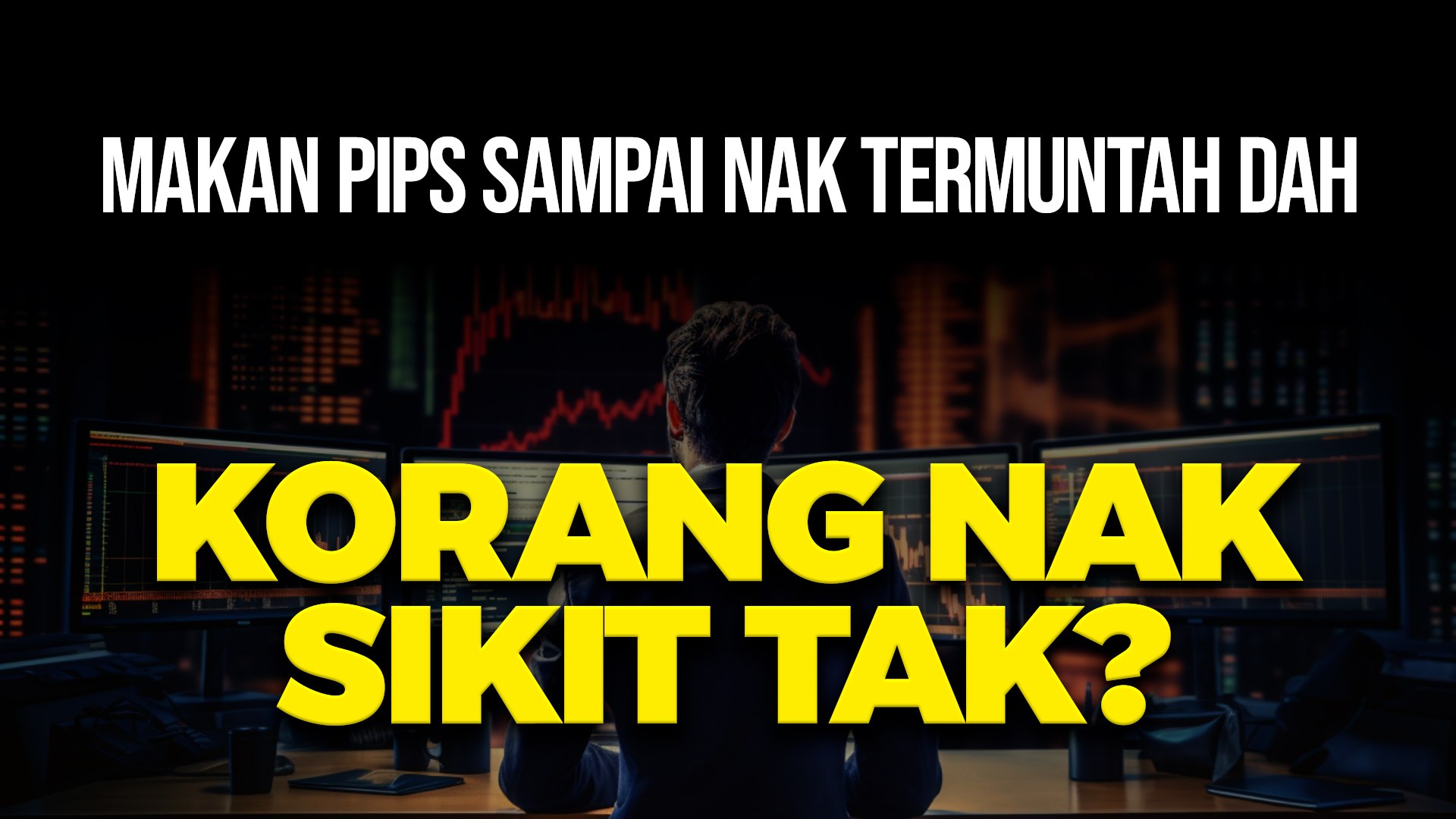 Perfect Traderz Live